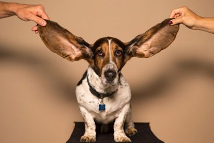 Acouphène : l’impact psychologique du stress